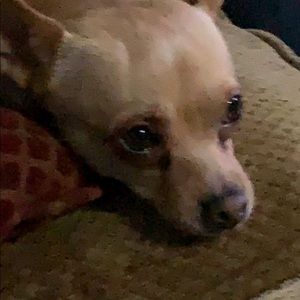 Meet your Posher, Omar